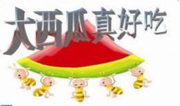 瓜瓜吃瓜ppt,揭秘PPT中的趣味与智慧