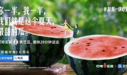 今日吃瓜文案,娱乐圈幕后故事一网打尽