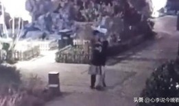 今日吃瓜视频完整版,揭秘幕后真相，带你领略娱乐圈风云变幻