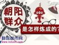 c朝阳群众,守护首都安宁的民间力量